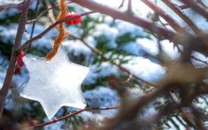 Kalverkamp wünscht frohe Weihnachten